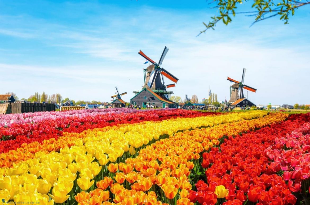 Du lịch Hà Lan bạn nhất định phải biết những điều sau