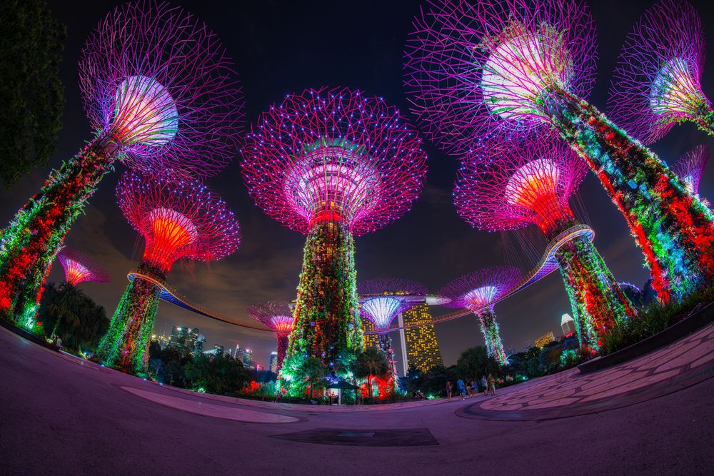 Thưởng thức những màn trình diễn ánh sáng rực rỡ ở Singapore