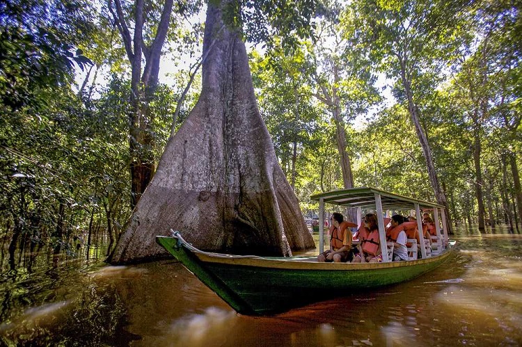 Ghé thăm rừng mưa nhiệt đới Amazon và cộng đồng địa phương nơi đây