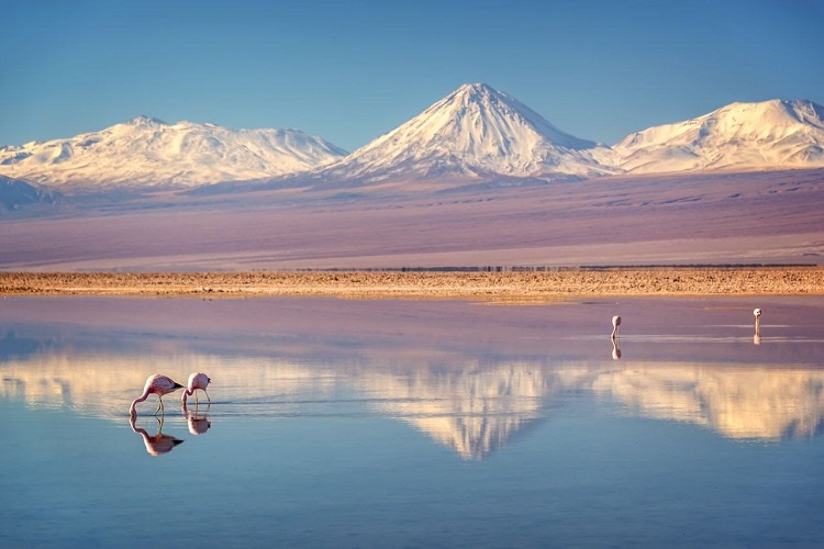 Salar de Uyuni, Bolivia - cánh đồng muối hấp dẫn tại Nam Mỹ